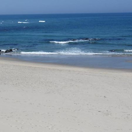 Afife & Insua Beach Apartment Viana do Castelo Esterno foto